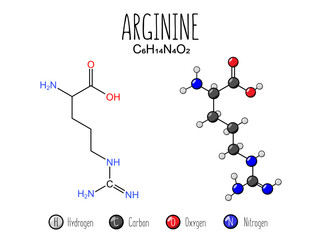 Arginine amino acid representation. Skeletal formula and 2d structure illustration, isolated on white background. Vector editable