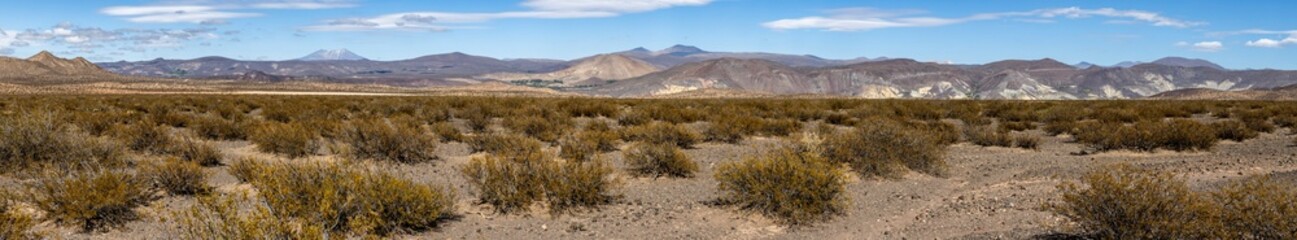 Landscape shot of the Argentinian Pampa in the Province Neuquén - Traveling South America - Panorama