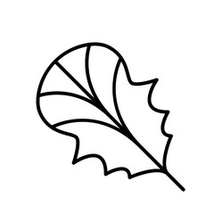 Leaf icon