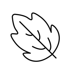 Leaf icon