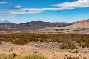 Landscape shot of the Argentinian Pampa in the Province Neuquén - Traveling South America