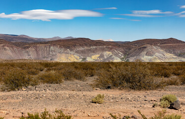 Landscape shot of the Argentinian Pampa in the Province Neuquén - Traveling South America