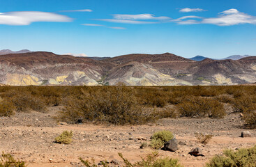 Landscape shot of the Argentinian Pampa in the Province Neuquén - Traveling South America