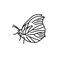 Plakat Gonepteryx rhamni Brimstone black line icon.