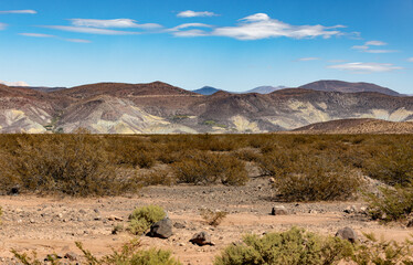 Landscape shot of the Argentinian Pampa in the Province Neuquén - Traveling South America