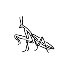 Mantis black line icon.