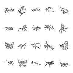 Insects black line icons set.