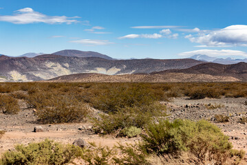 Landscape shot of the Argentinian Pampa in the Province Neuquén - Traveling South America