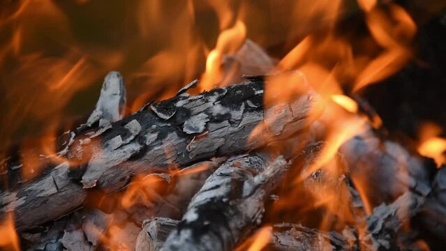 Bonfire or fireplace with scorching logs and branches. The flame flutters in a light breeze. Coals, ash. Close-up.