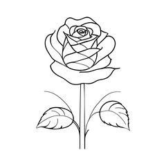 Rose flower. Generative AI
