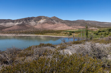 Oasis along the famous Ruta40 near Malargüe, Argentina - Traveling South America