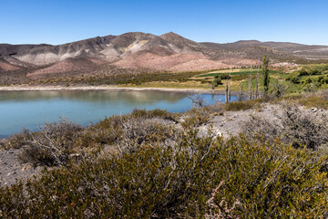 Oasis along the famous Ruta40 near Malargüe, Argentina - Traveling South America