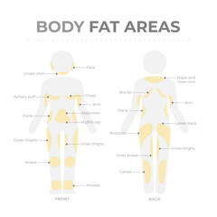 Body fat areas medical poster with fat storage problems.
Editable vector infographic of human body pictogram with text and fat deposit areas.
Location of adipose tissue in front and back body parts - obrazy, fototapety, plakaty