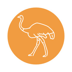 Ostrich black line icon. Farm animals.