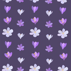 Collection of crocuses and saffrons. A set of spring purple, yellow and white crocuses. Vector illustration of beautiful multicolored flowers