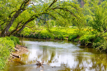 Picturesque landscape of Geul river among wild green grass and green leafy trees in Dutch nature park Ingendael, calmly flowing water stream, sunny spring day, South Limburg in the Netherlands