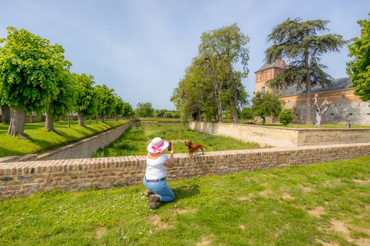 Woman in hat taking pictures with her mobile phone to her short-haired dachshund standing on brick fence in Borgharen castle gardens, leafy trees and dry moat, sunny day in South Limburg, Netherlands