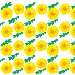 yellow flowers isolated on white