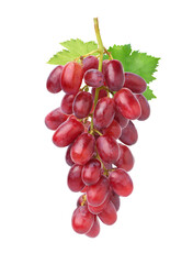 Red grape cluster with leaves isolated on white background.