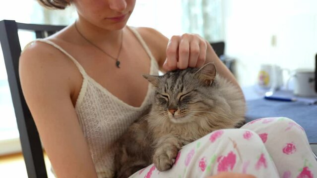 teenager girl caresses, strokes, kisses purring cat sitting on girl's legs