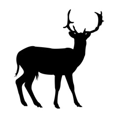 Deer standing silhouette