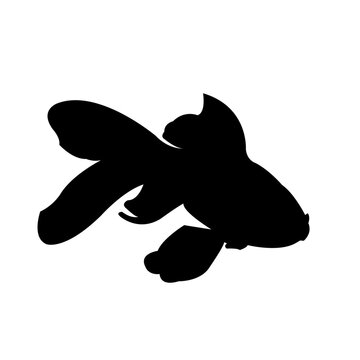 recommend clip art: Goldfish silhouette