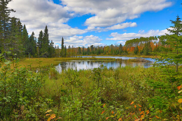 Beautiful Lake bog in autumn fall forest wilderness