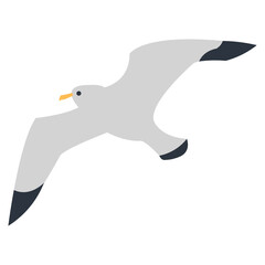 Obraz premium Seagull bird.