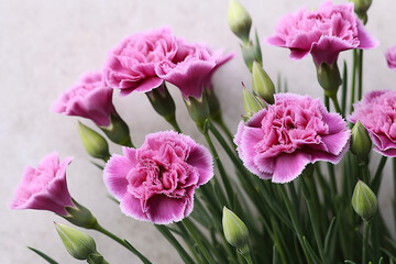 Obraz premium A bunch of pink carnations in a vase. Generative AI.