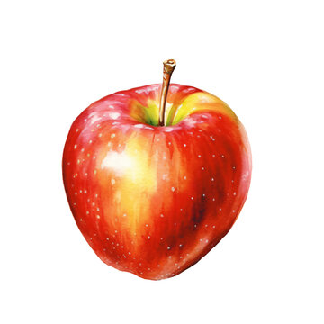 apple in watercolor design isolated on transparent background