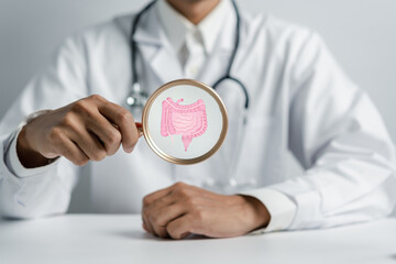 Doctor holding Magnifier focus to stomach with intestine virtual icon, probiotics food for gut...
