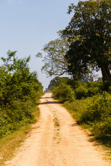 Road through the Udawalawe National Park in Sri Lanka