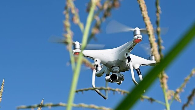 Drone Flying Near Corn 2