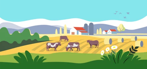 Poster Im Rahmen Cows in farm cartoon. Rural countryside landscape with meadow © bioraven