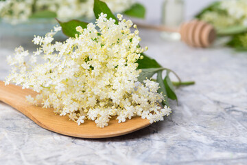composition of elderberry flowers on a table on a light background
