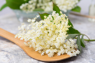 composition of elderberry flowers on a table on a light background
