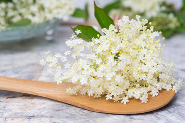 composition of elderberry flowers on a table on a light background
