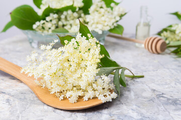 composition of elderberry flowers on a table on a light background
