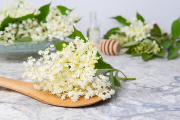 composition of elderberry flowers on a table on a light background
