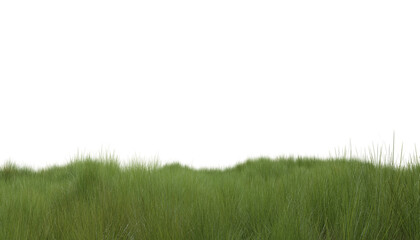 Obraz na płótnie Canvas Green Grass on Transparent Background. A Versatile and Natural Design Element