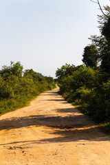 Road in Udawalawe National Park, Sri Lanka