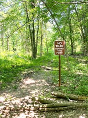 'No trail beyond this point' sign next to path in lush green forest