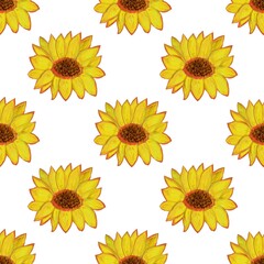 Seamless pattern with sunflowers