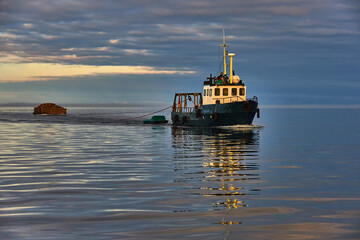 Sea tug transporting firewood. Ship with reflection at sunset - 611419863