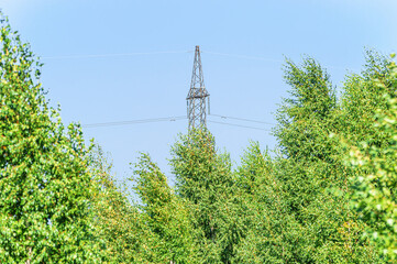 Power Line Tower over Summer Trees on a Sunny Summer Day