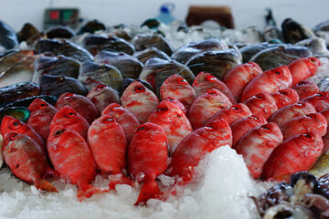 Meeresfrüchte vom Großmarkt
