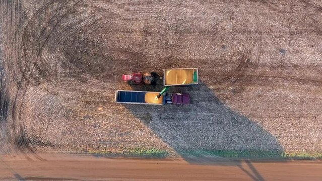 Grain Cart Filling Semi, Top Down Descending View