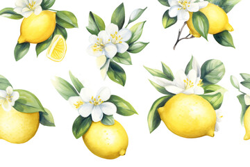 collection of lemon decorated with lemons and lemon leaves in watercolor design isolated on transparent background