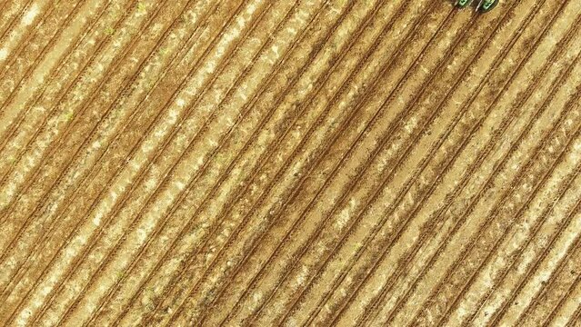 Planting Soybeans Top Down View Close Up