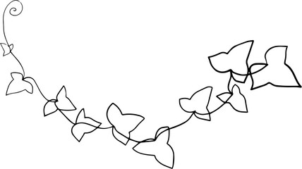 simplicity ivy continuous freehand drawing.
